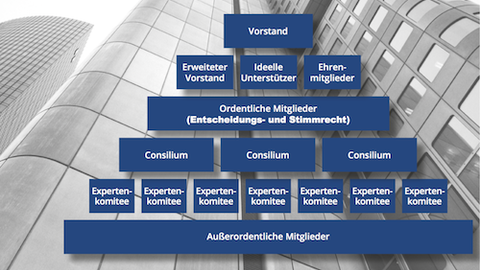 Organigramm & Verbandsstruktur